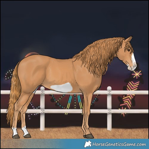 Horse Color:Chestnut Frame