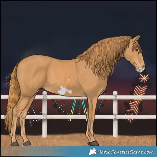 Horse Color:Chestnut Frame 