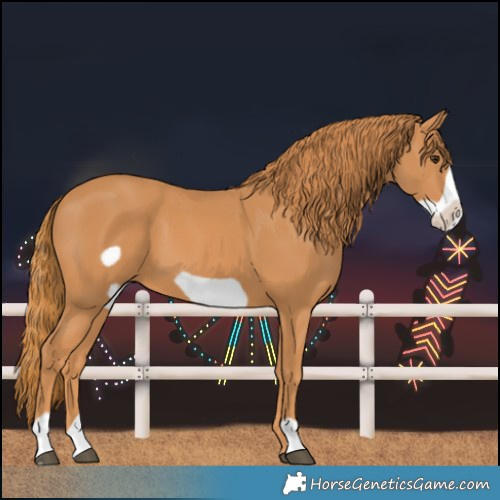 Horse Color:Chestnut Frame 