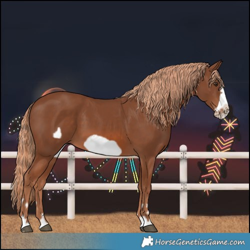 Horse Color:Chestnut Frame 
