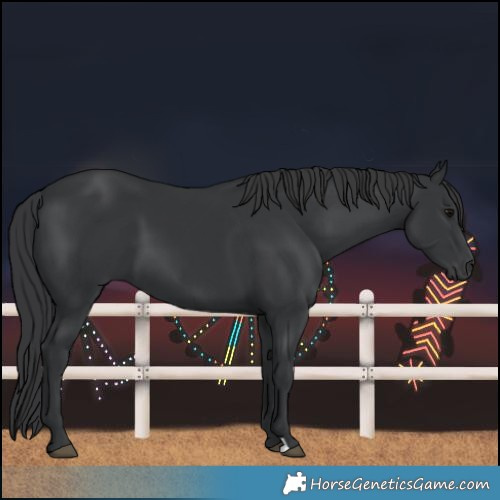 Horse Color:Black 