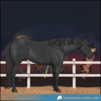 Horse Color:Black 