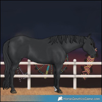 Horse Color:Black 