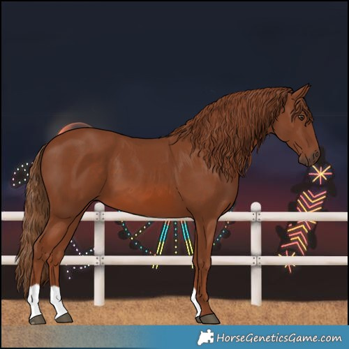 Horse Color:Chestnut 