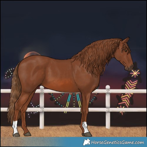 Horse Color:Chestnut 