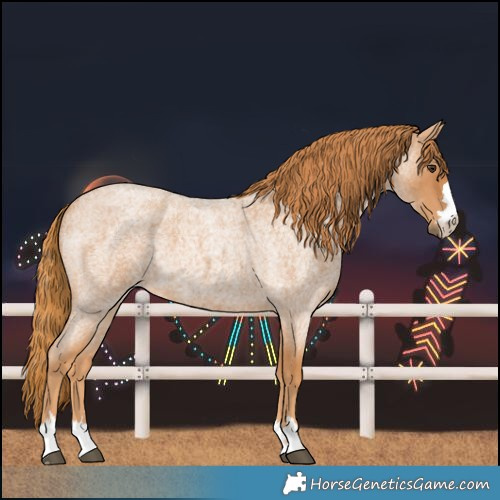 Horse Color:Red Roan