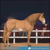 Horse Color:Chestnut Frame 