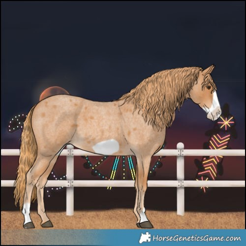 Horse Color:Red Roan Frame