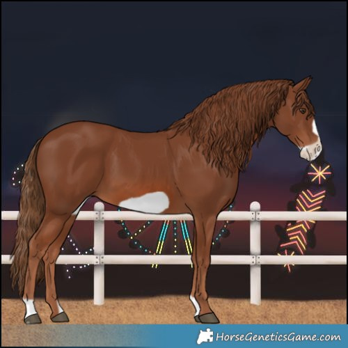 Horse Color:Chestnut Frame 