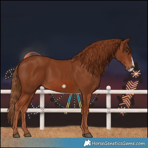 Horse Color:Chestnut Frame