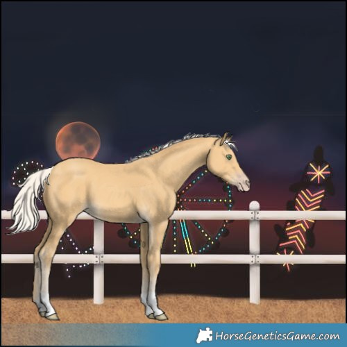 Horse Color:Silver Amber Cream Champagne 