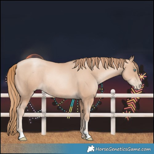 Horse Color:Gold Champagne Pearl Rabicano  and Gold Champagne Pearl Rabicano 