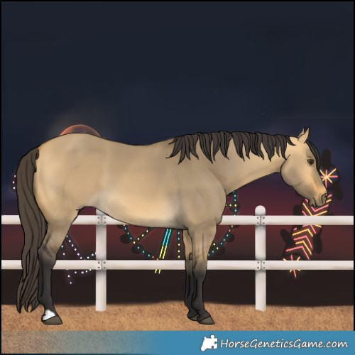 Horse Color:Buckskin Dun 