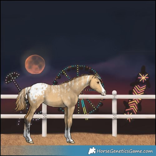 Horse Color:Powder White Buckskin Dun Blanket 