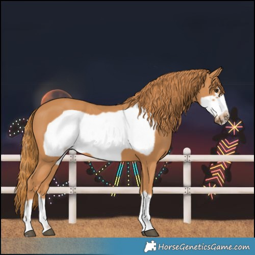 Horse Color:Chestnut Frame 