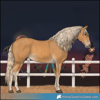 Horse Color:Palomino 