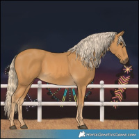 Horse Color:Palomino 