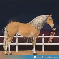 Horse Color:Palomino 