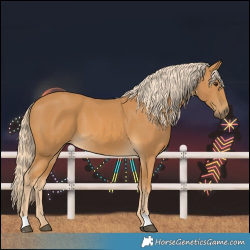 Horse Color:Palomino 