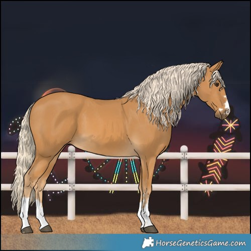 Horse Color:Palomino