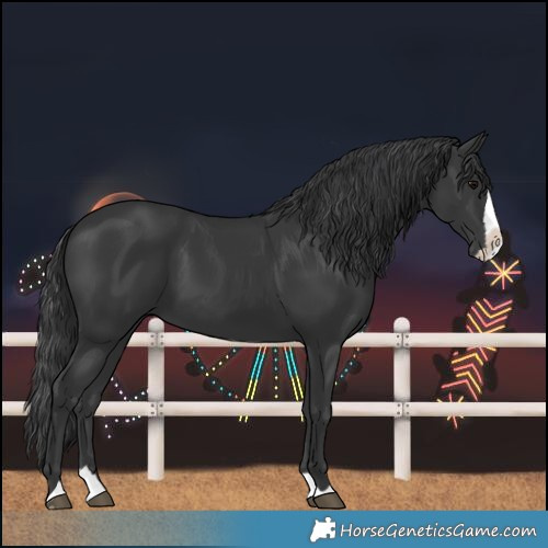 Horse Color:Black Splash 