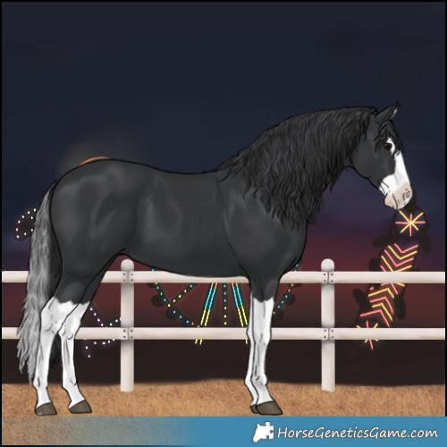 Horse Color:Black Splash 