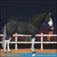 Horse Color:Black Splash 