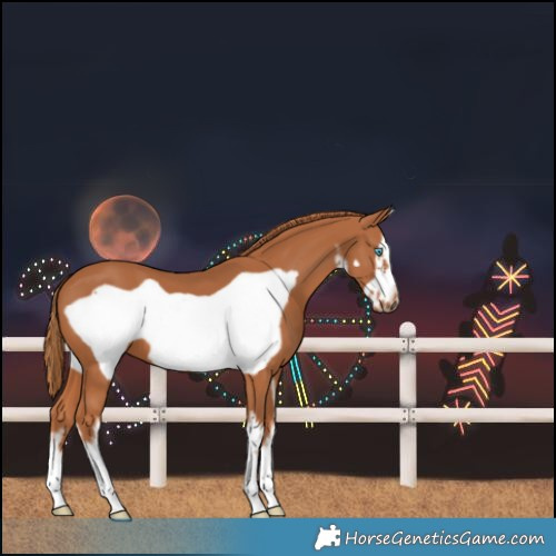 Horse Color:White Spotted Chestnut Frame