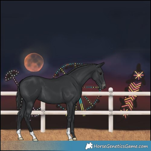 Horse Color:Black Varnish 
