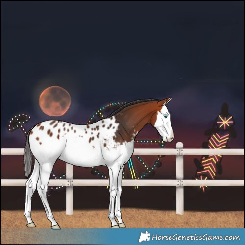 Horse Color:Bay Splash Blanket 