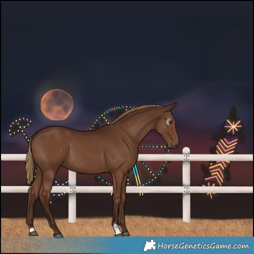 Horse Color:Gray Chestnut 