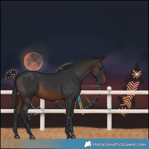 Horse Color:Brown 