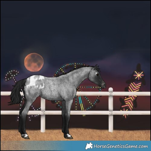 Horse Color:Gray Blue Roan Blanket 