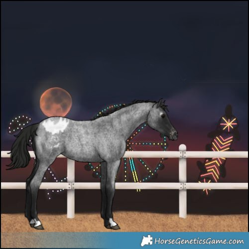 Horse Color:Gray Blue Roan Blanket Rabicano