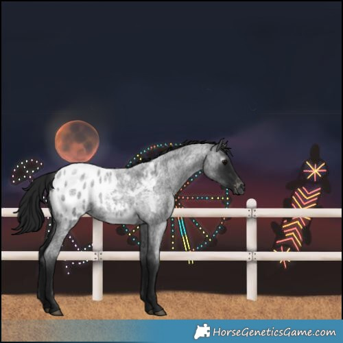 Horse Color:Gray Blue Roan Blanket