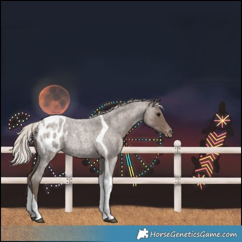 Horse Color:Silver Blue Roan Tobiano Blanket Rabicano