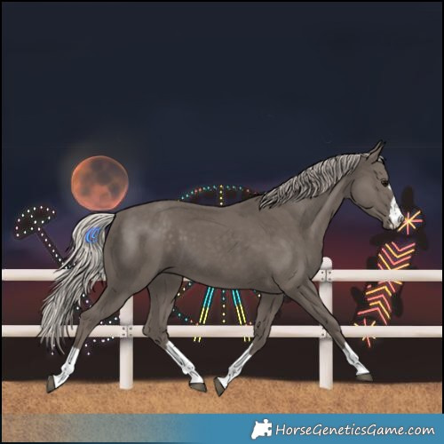 Horse Color:Silver Black 