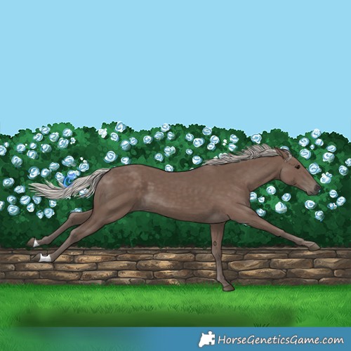 Horse Color:Silver Black 