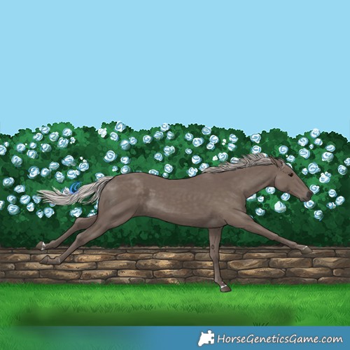 Horse Color:Silver Black 