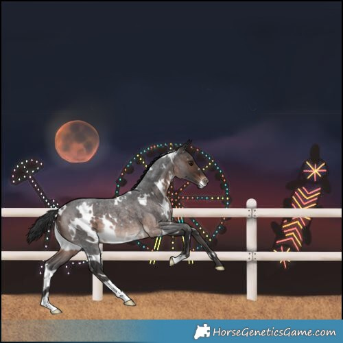 Horse Color:White Spotted Brown Roan Mushroom Rabicano 