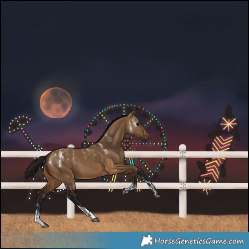 Horse Color:Powder White Gray Bay Dun
