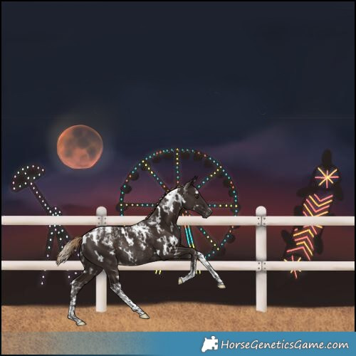 Horse Color:Powder White White Spotted Liver Chestnut Varnish Rabicano