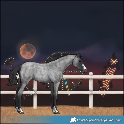 Horse Color:Blue Roan Varnish 