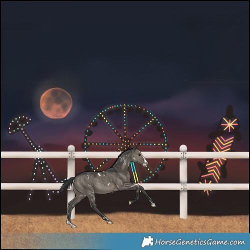 Horse Color:White Spotted Grullo Splash Rabicano Brindle