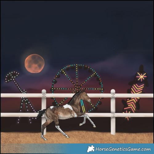 Horse Color:Brown Dun Tobiano Rabicano Brindle 