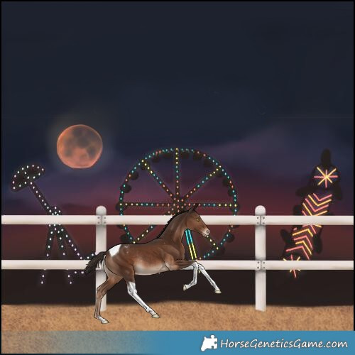 Horse Color:Liver Chestnut Tobiano Varnish Rabicano 