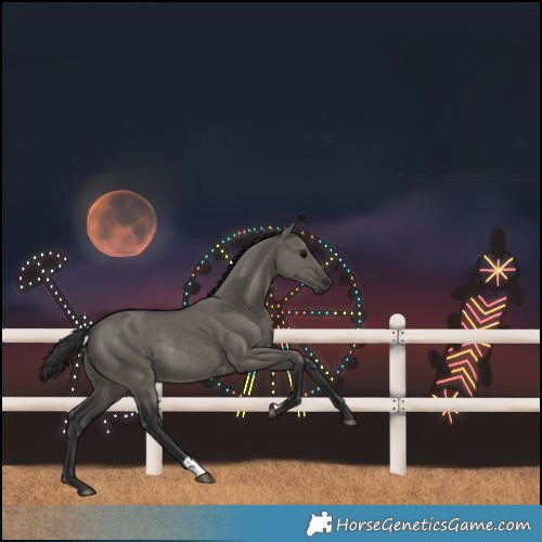 Horse Color:Grullo Rabicano 