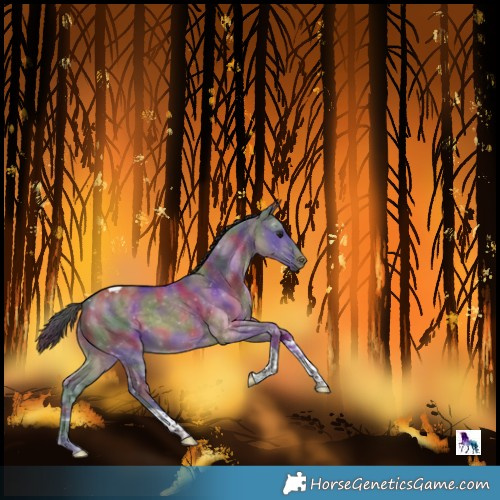 Horse Color:Nacre Brown Dun Tobiano Rabicano 