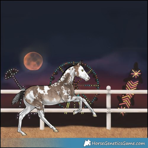 Horse Color:White Spotted Brown Dun Splash Rabicano