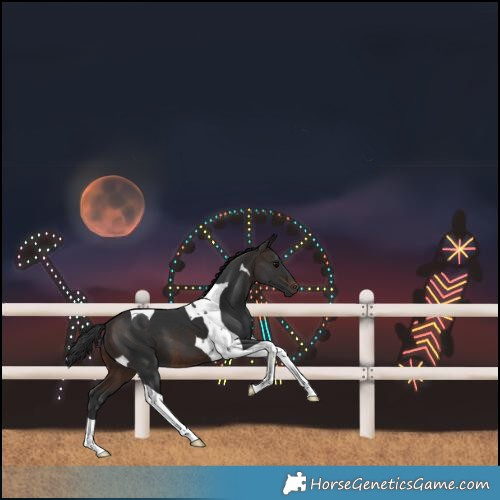 Horse Color:Brown Tobiano 